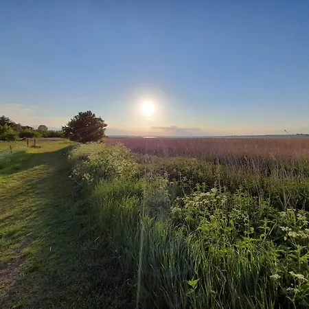 בית נופש The Comfort Of Merges With Nature